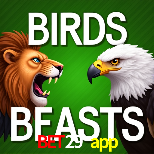 bet29 app